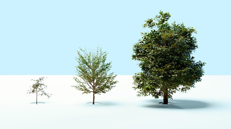 Three trees of increasing size stand in a row against a minimal, light blue background, each planted in a circular cutout in the ground.