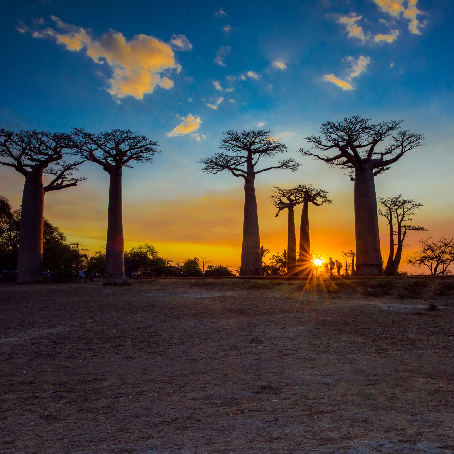 Leadership lessons from Africa’s trailblazers