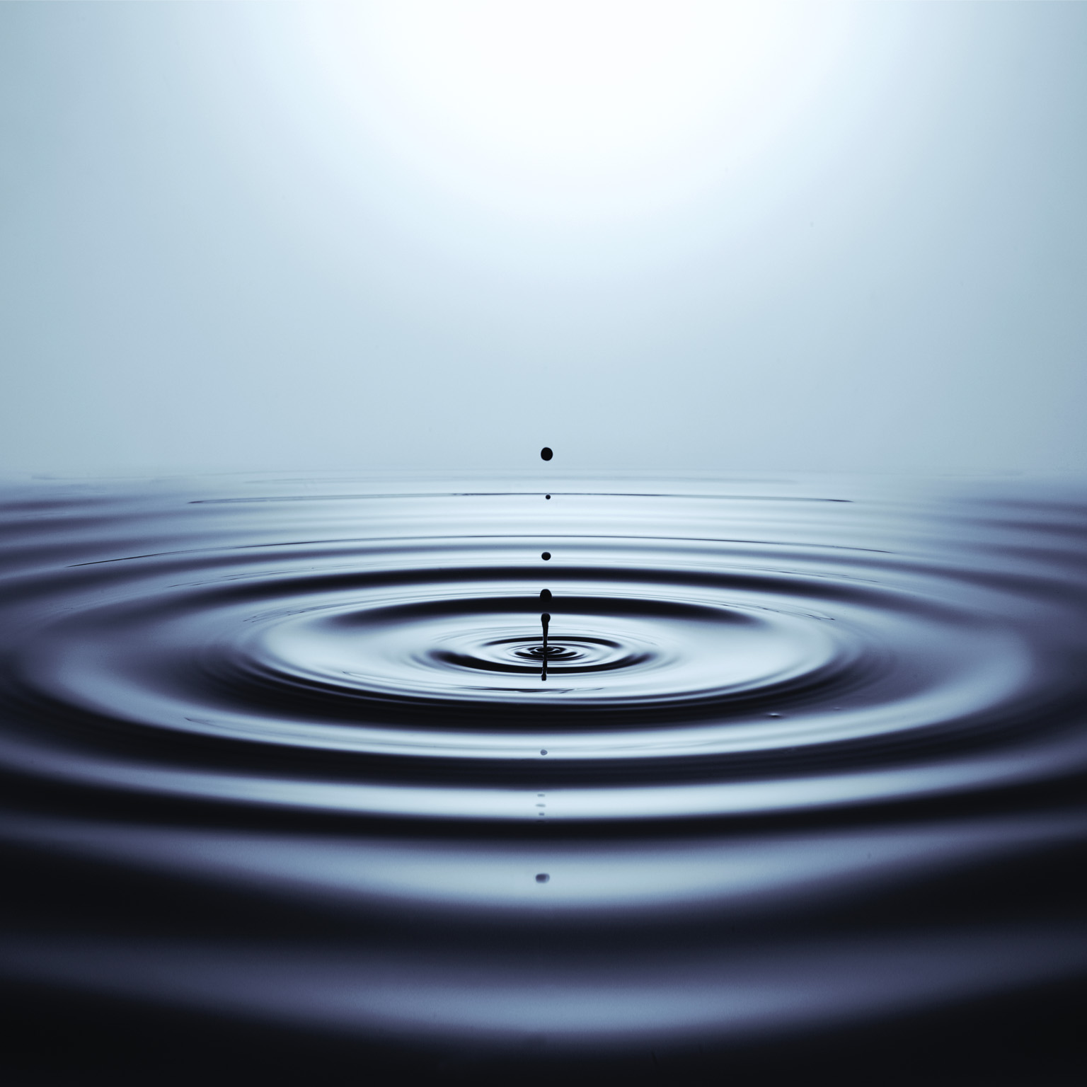 Well-being Insights Collection