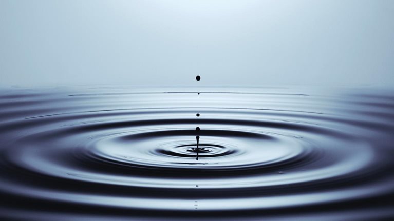 Well-being Insights Collection