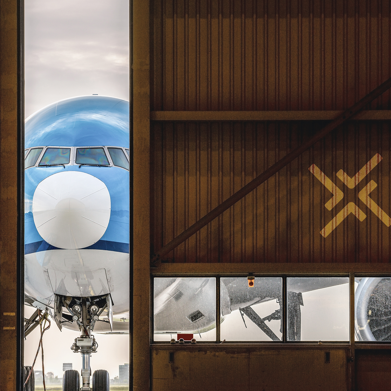 Critical insights on the path to a net-zero aviation sector