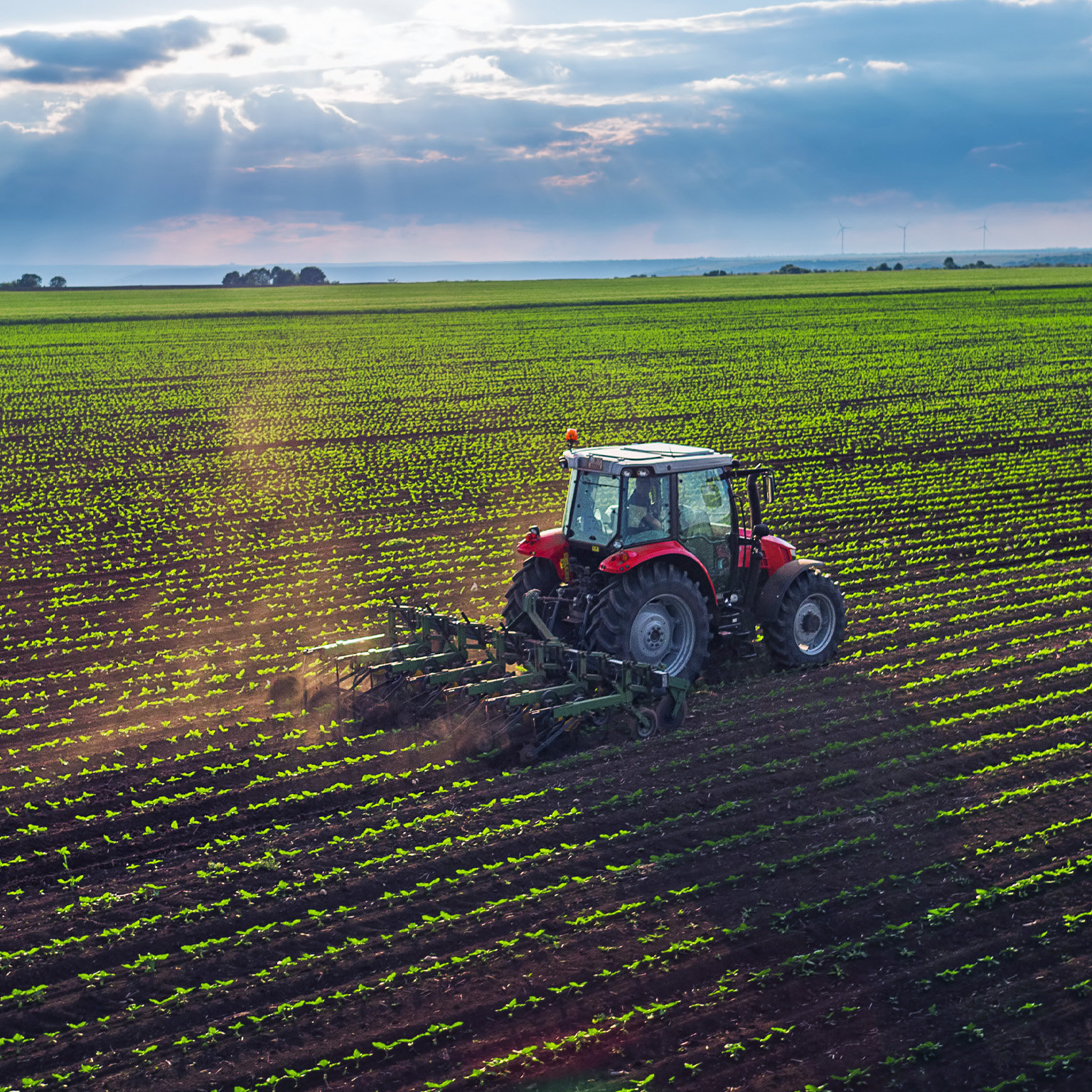 Tractor cultivating field at spring