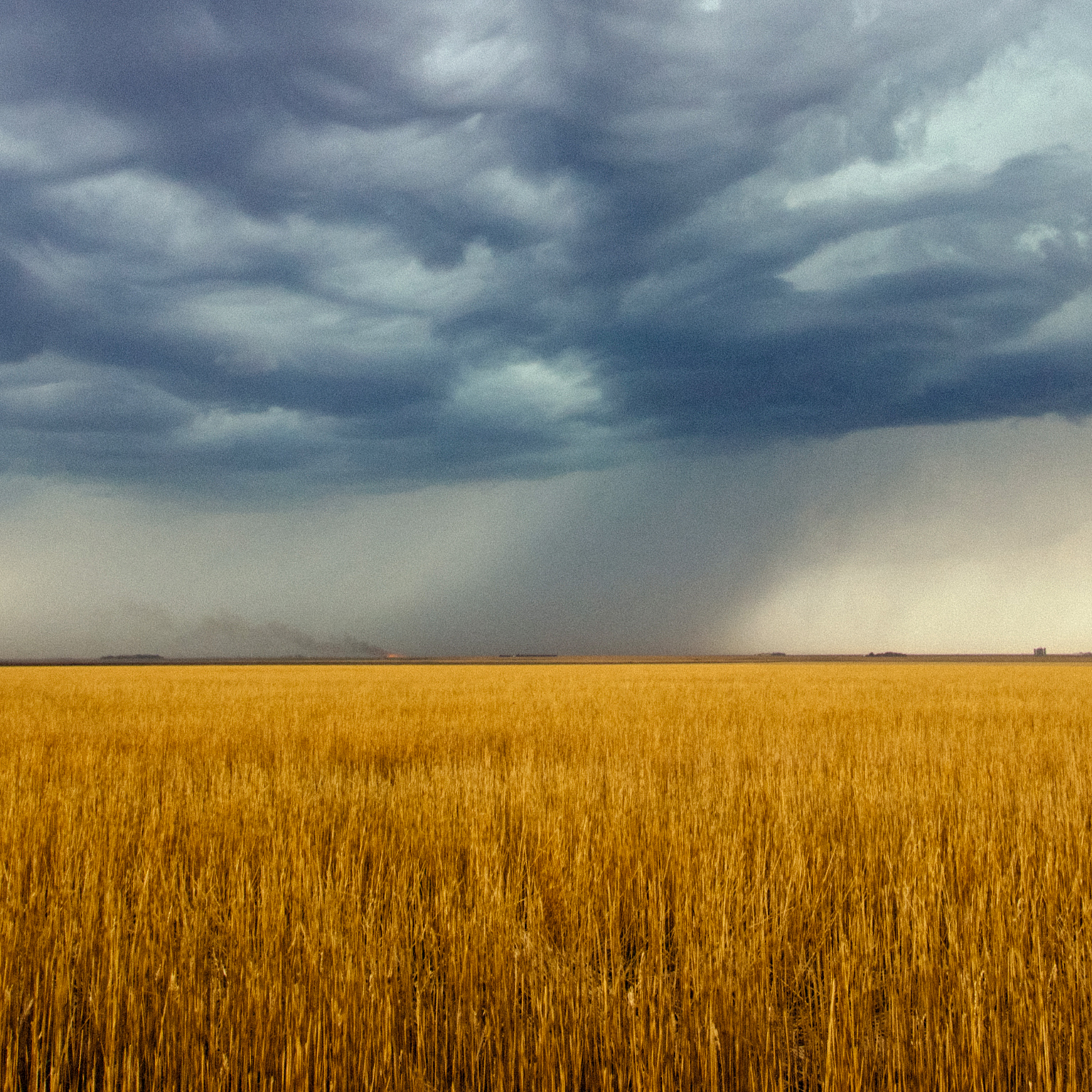 Thunderstorm passing over an open wheat field
