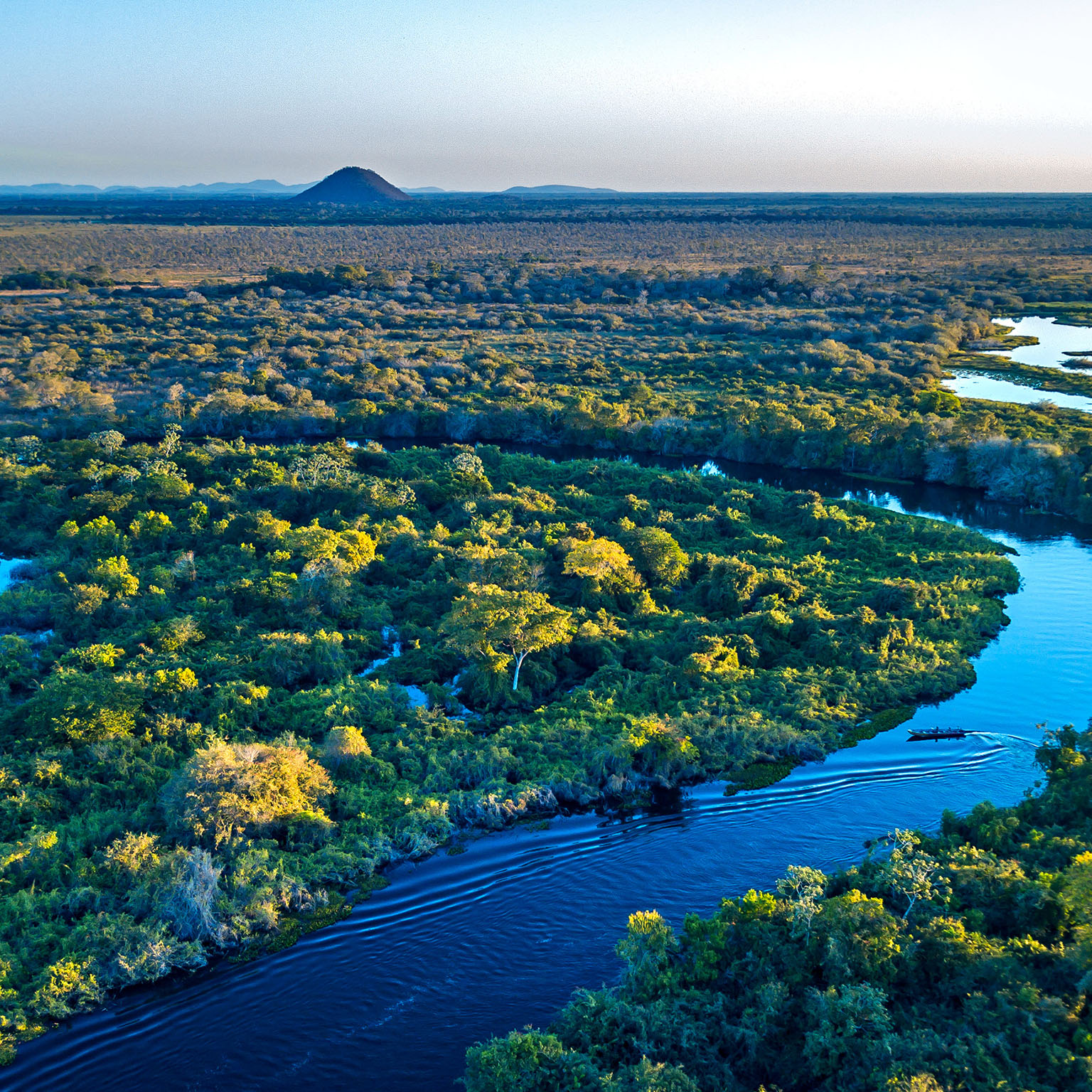 A winding river cuts through a vibrant green landscape, bathed in the golden light of sunset.