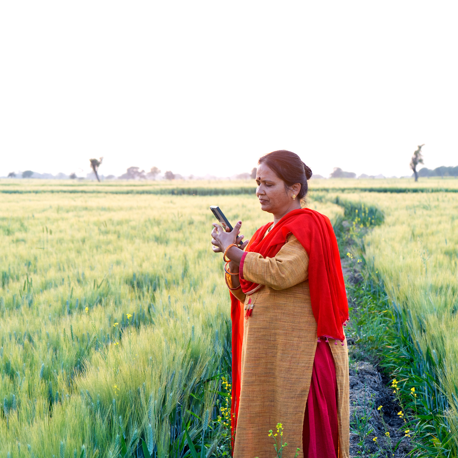 An Indian woman standing among agricultural fields looking into a mobile phone