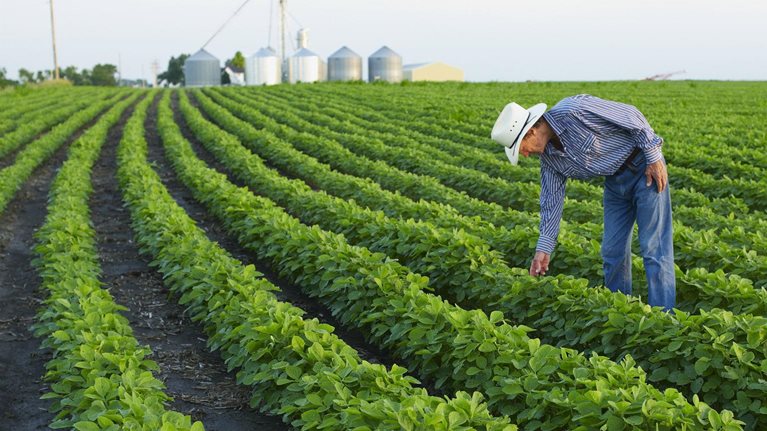 How to incentivize food systems to meet the realities of the 21st century