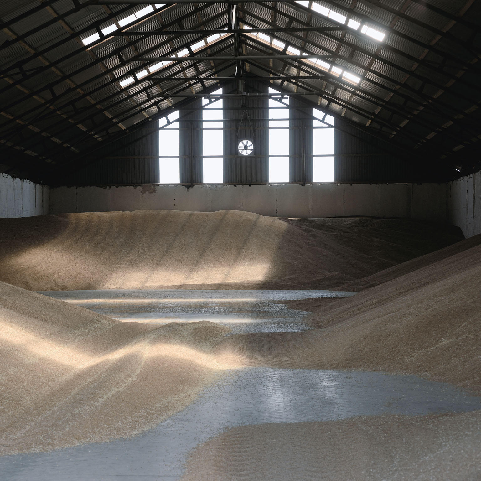 Barn filled with wheat to be dried and stored