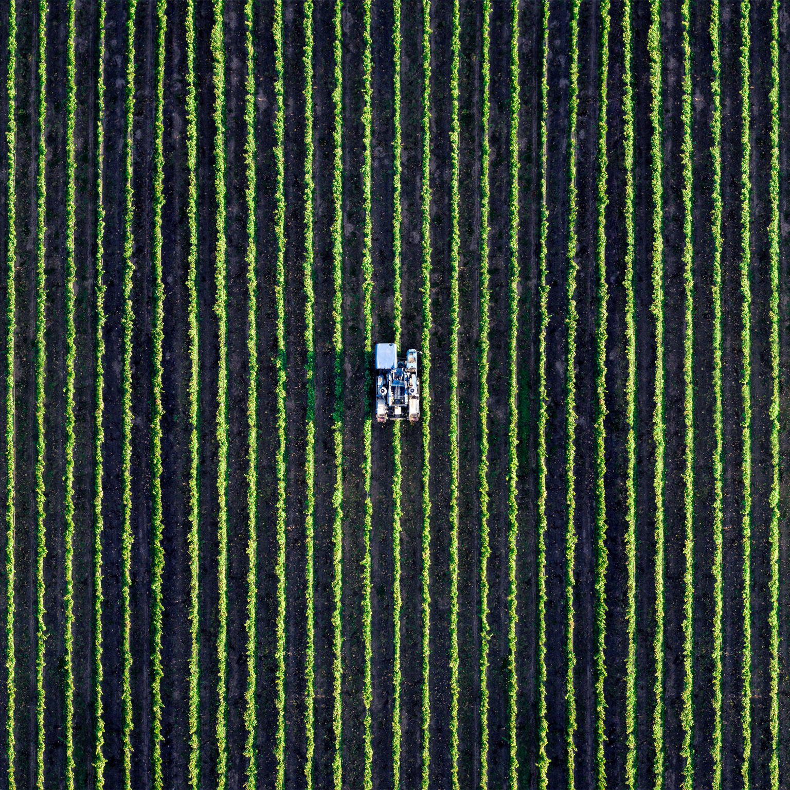 Vehicle ploughing a field