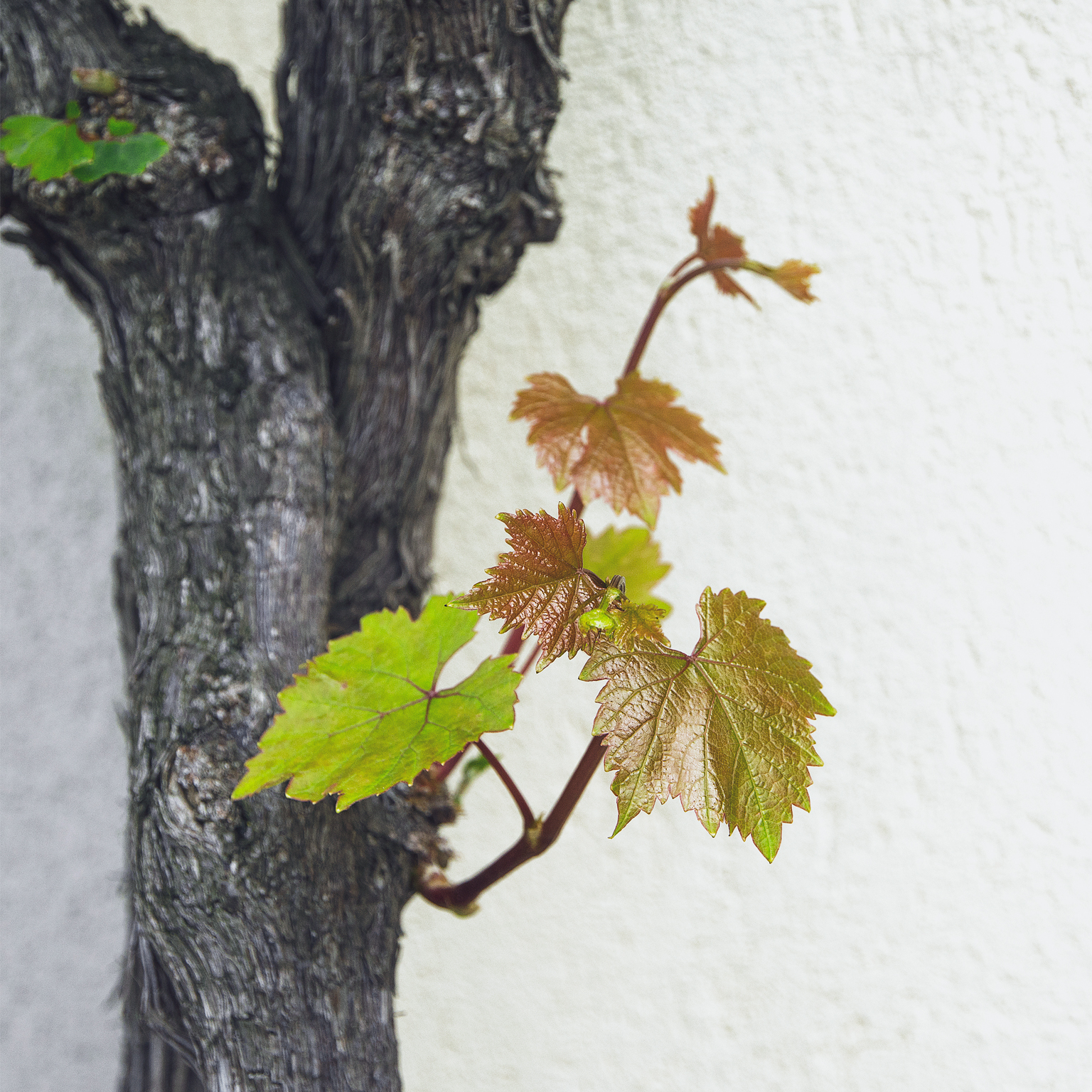 Beating the cycle: Building resilience in chemicals