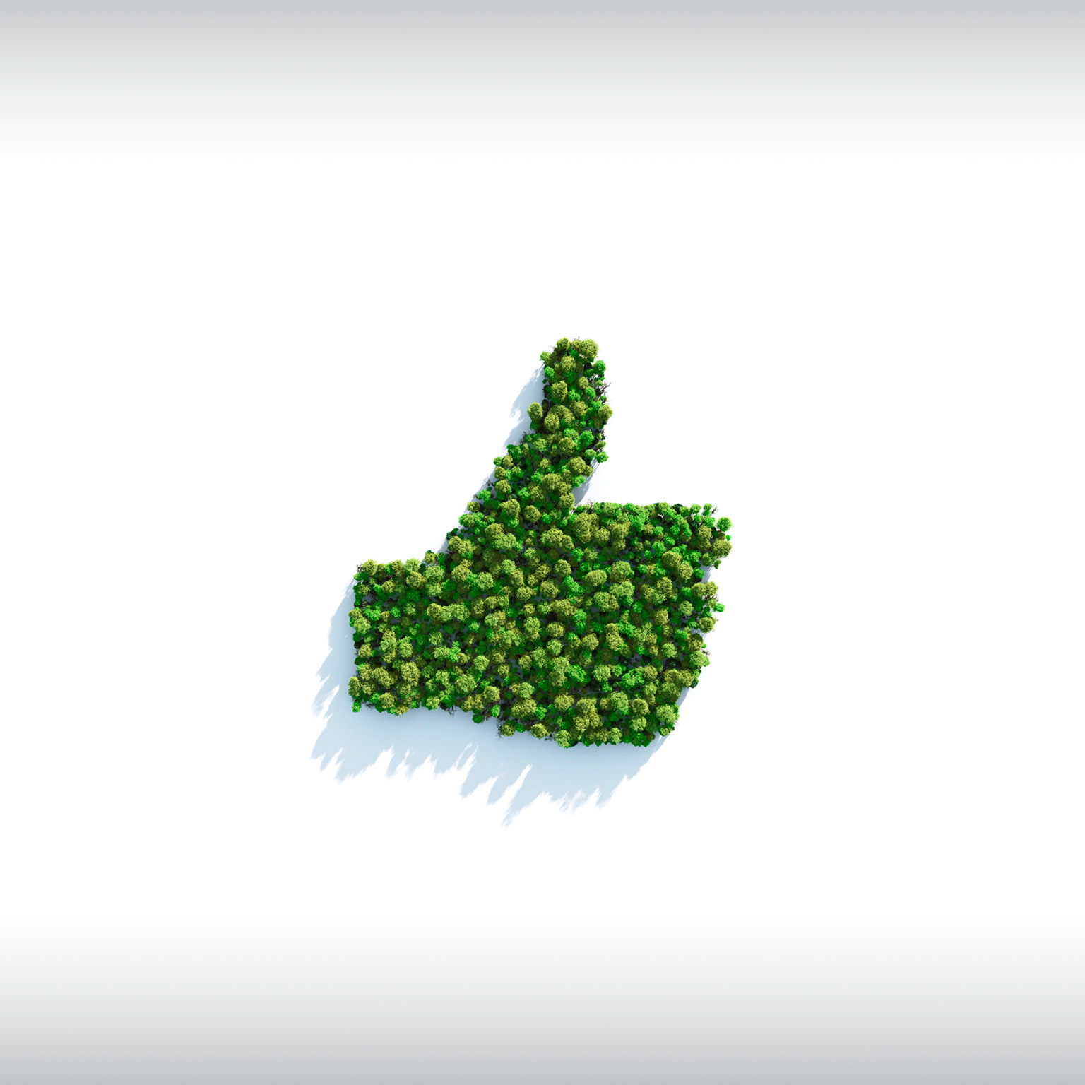 Green I Like - stock photo