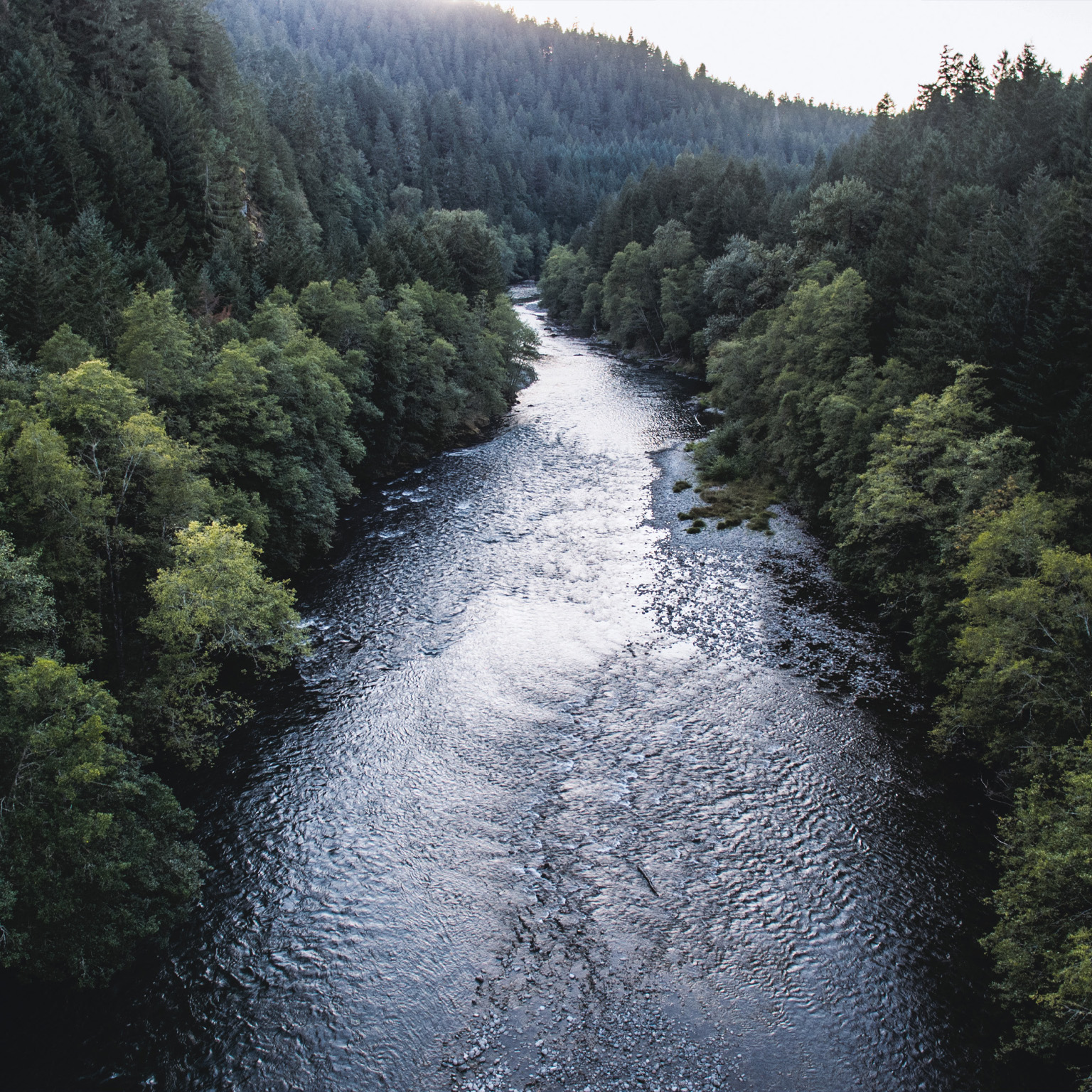 The state of the chemical industry—it is getting more complex