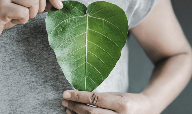 Close up of hand holding a heart shape green leaf on chest