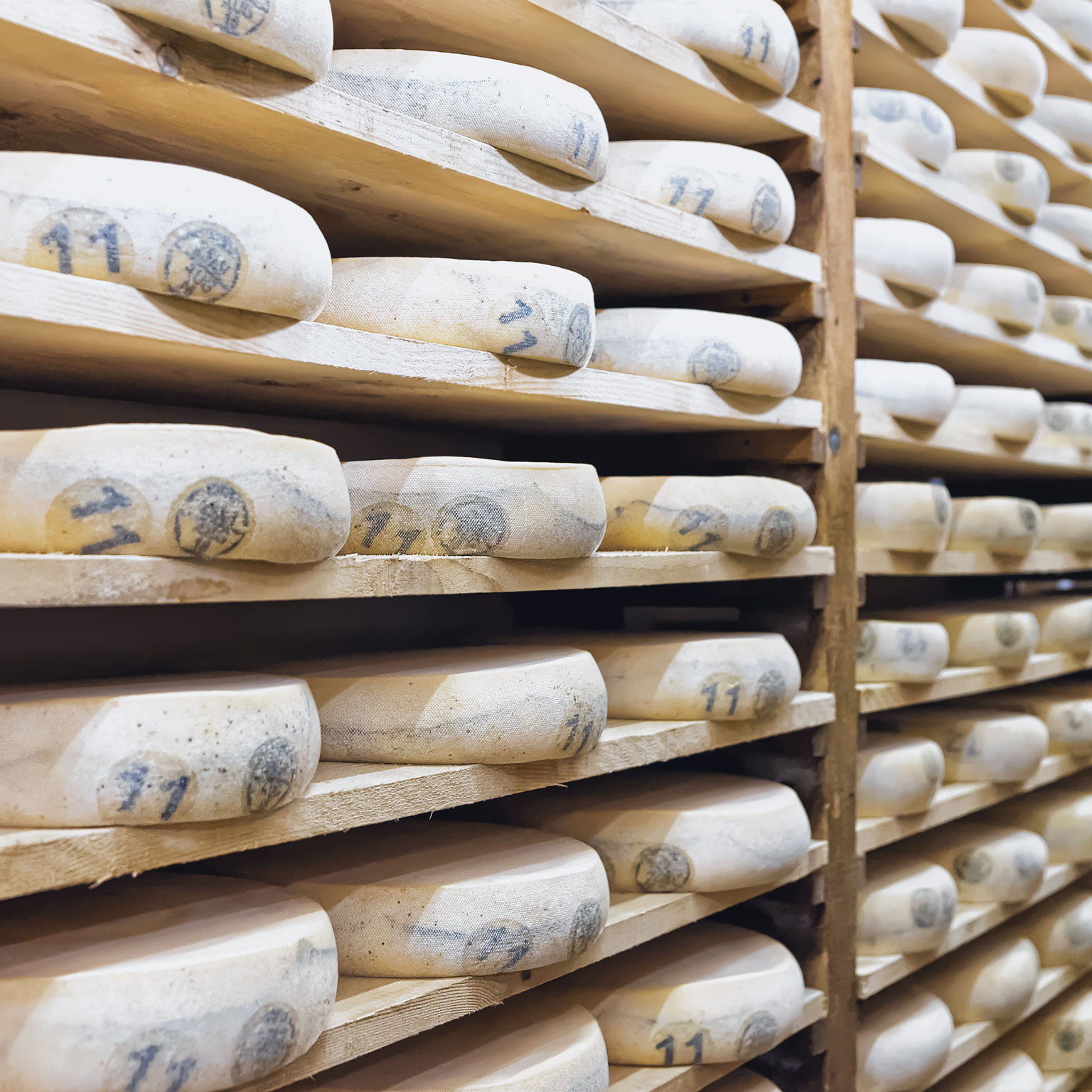 The evolving minds and strategies of dairy executives