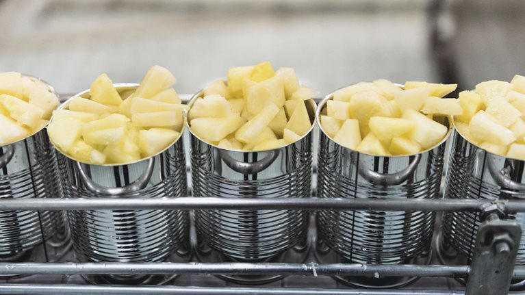 US food supply chain: Disruptions and implications from COVID-19