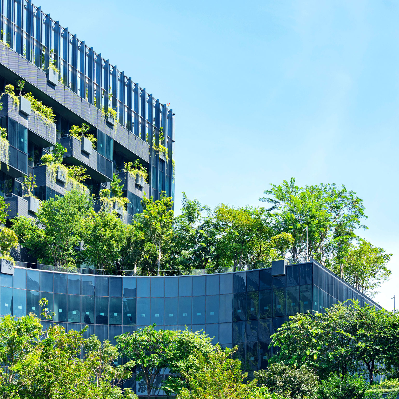 Modern green building with innovative high rise garden
