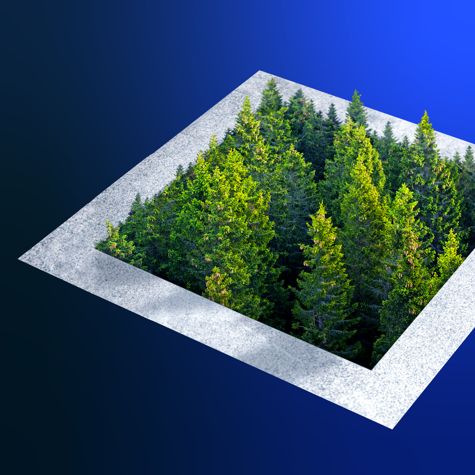 Environmental concept: pine forest growing out of a city concrete. - stock photo