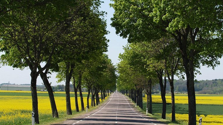 Insurance_1536x1536_Original