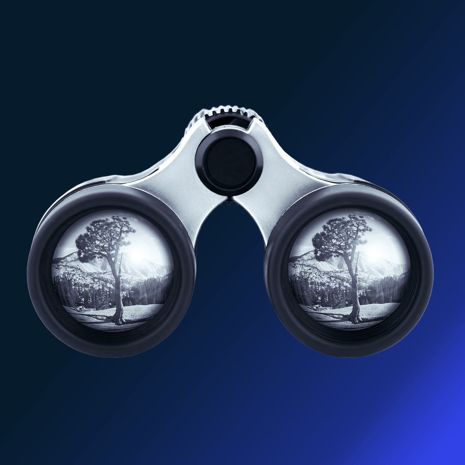 Blue toned binoculars