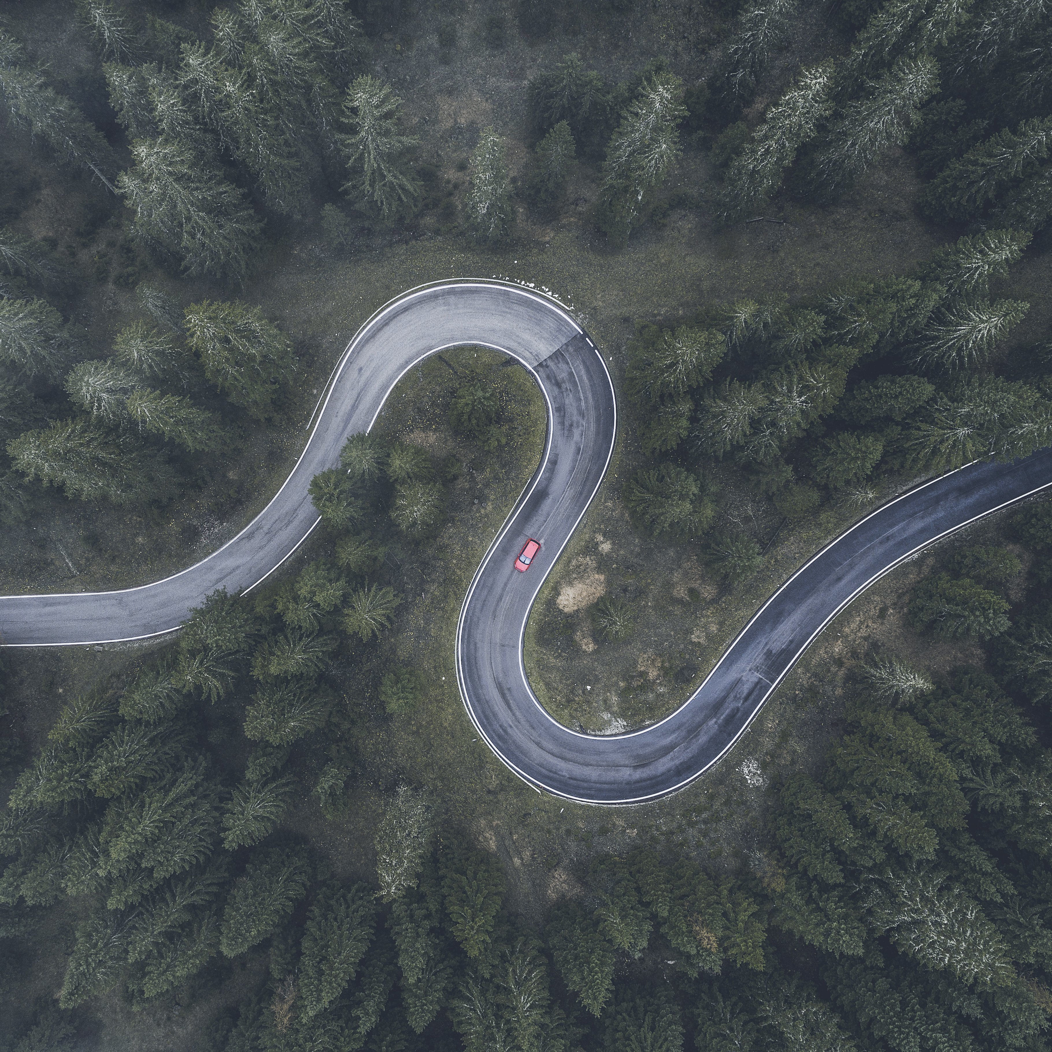 How North American claims organizations can respond to the coronavirus