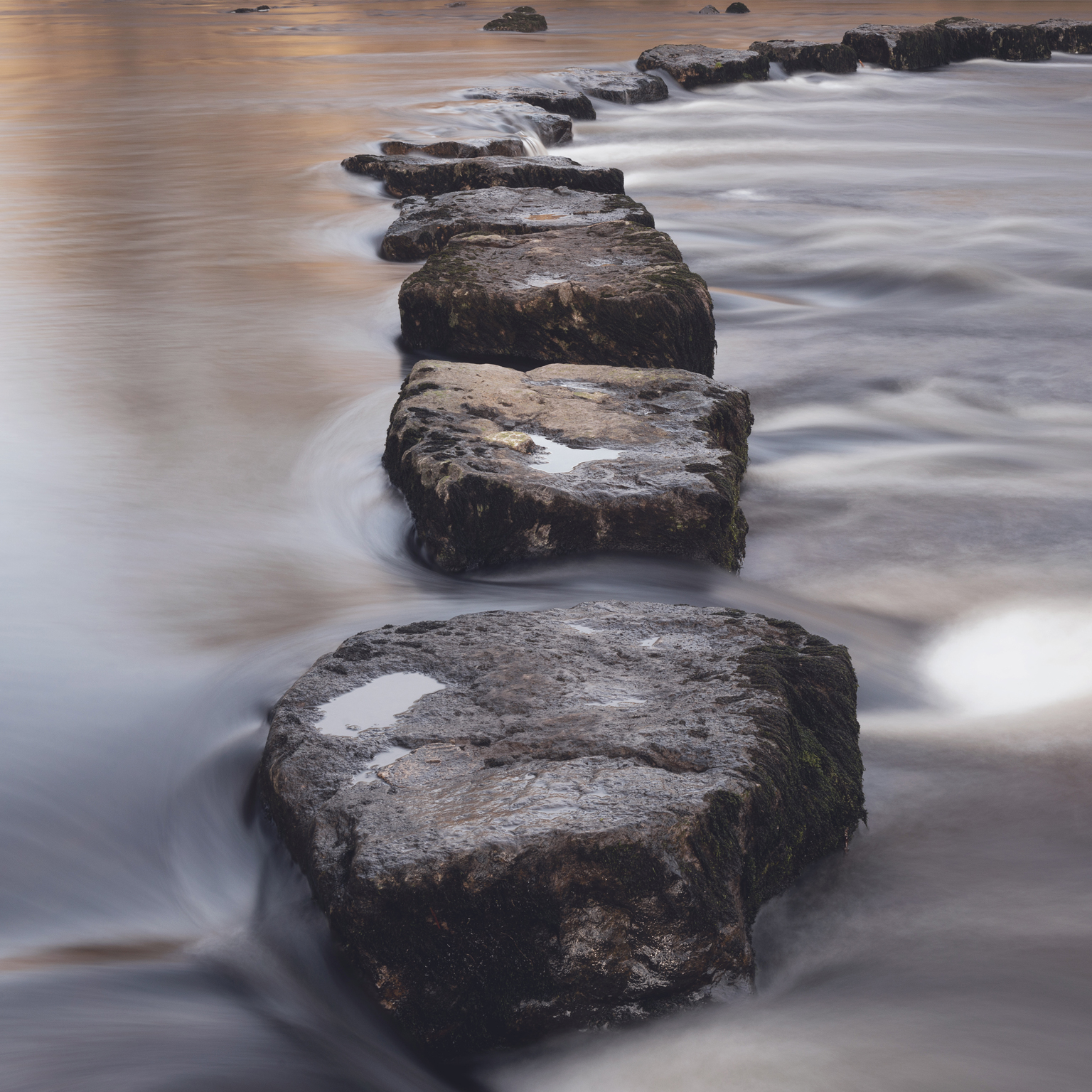 Implications of coronavirus for North American life and annuities writers