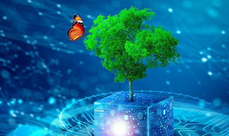 A conceptual 3D image of a butterfly landing on a tree that is growing on a digital cube covered in circuitry.