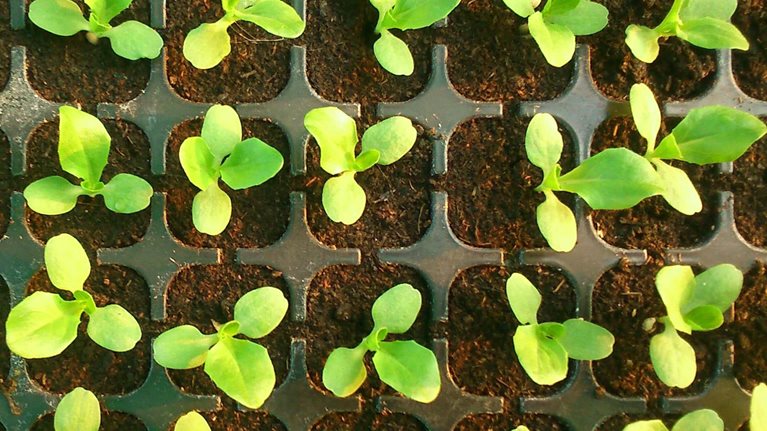 The key to growth in US life insurance