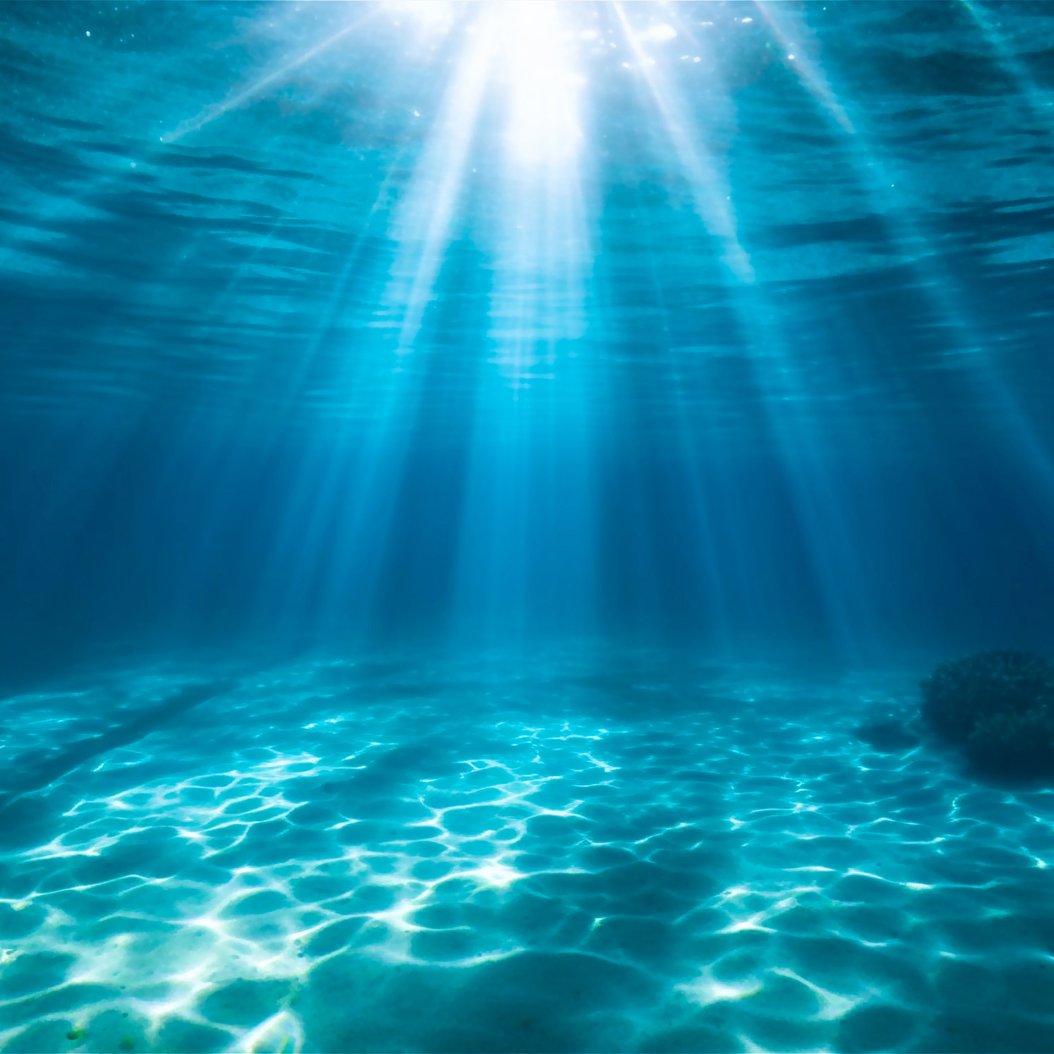 Underwater ocean. Deep sea water abyss with blue sun light from surface. - stock photo