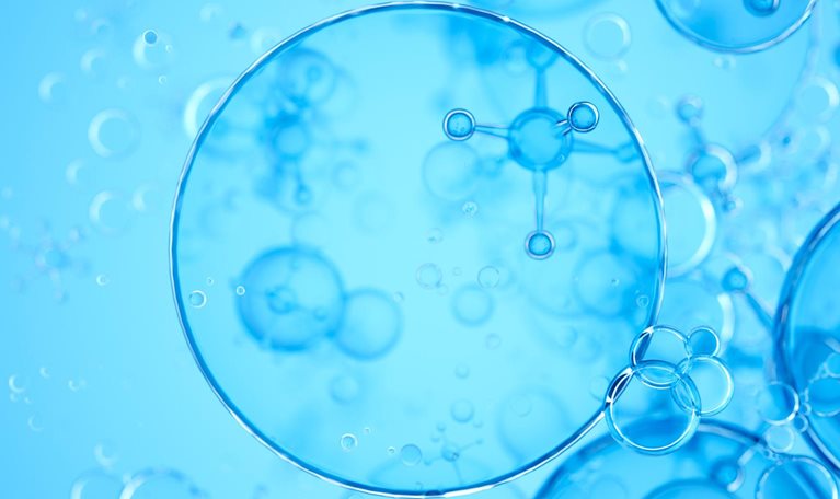 photo of cells