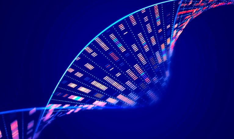 Human genome analysis DNA molecular structure