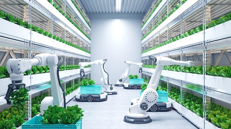 A modern vertical farm with rows of shelves filled with leafy green plants. Several automated robotic arms are seen harvesting the plants and placing them into turquoise crates on automated vehicles.