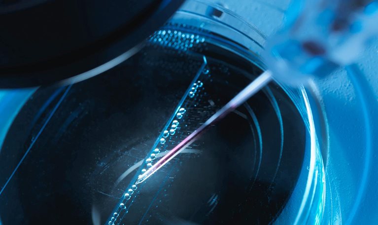 Can European biotechs achieve greater scale in a fragmented landscape?