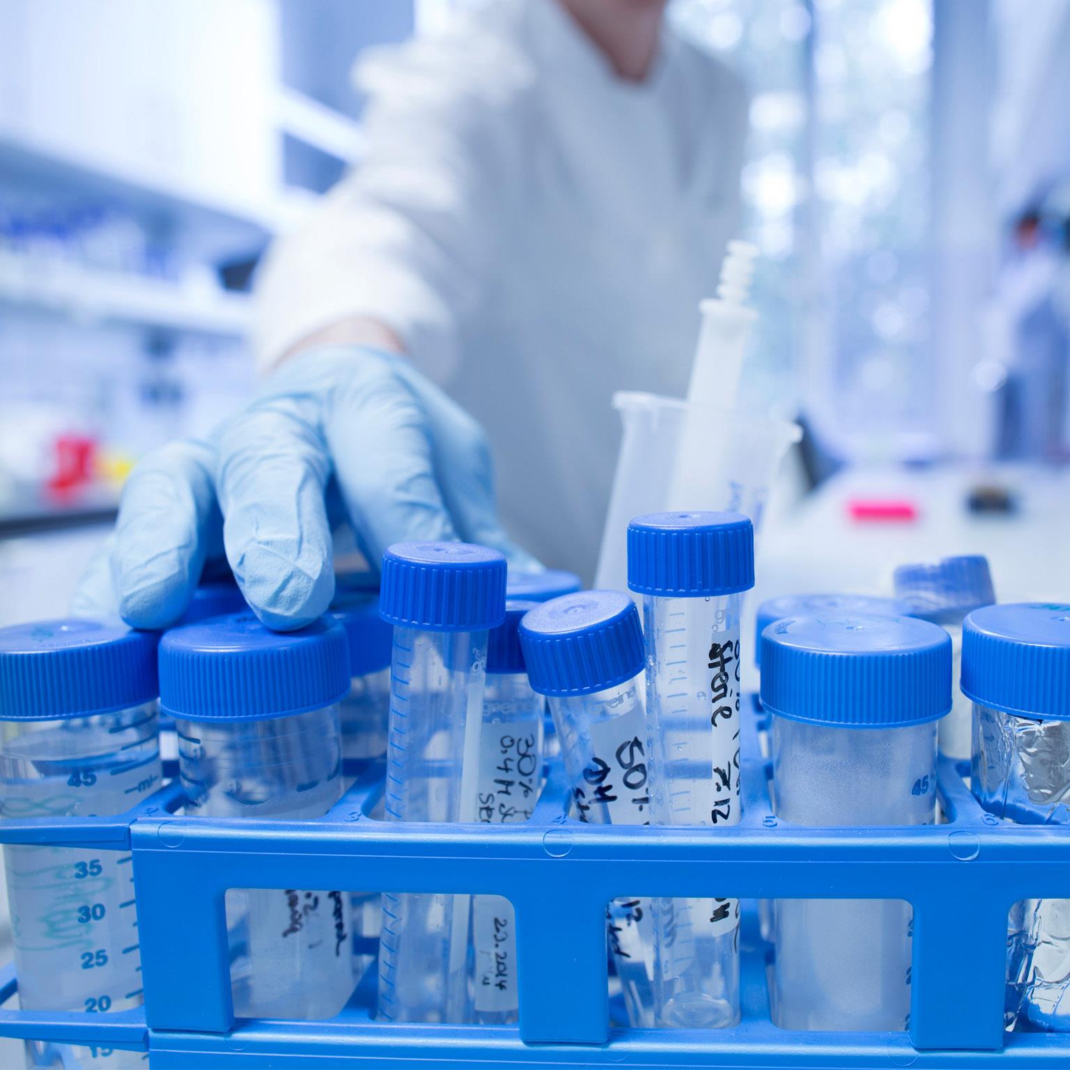 Exploring_1536x1536_300 offset_Standard