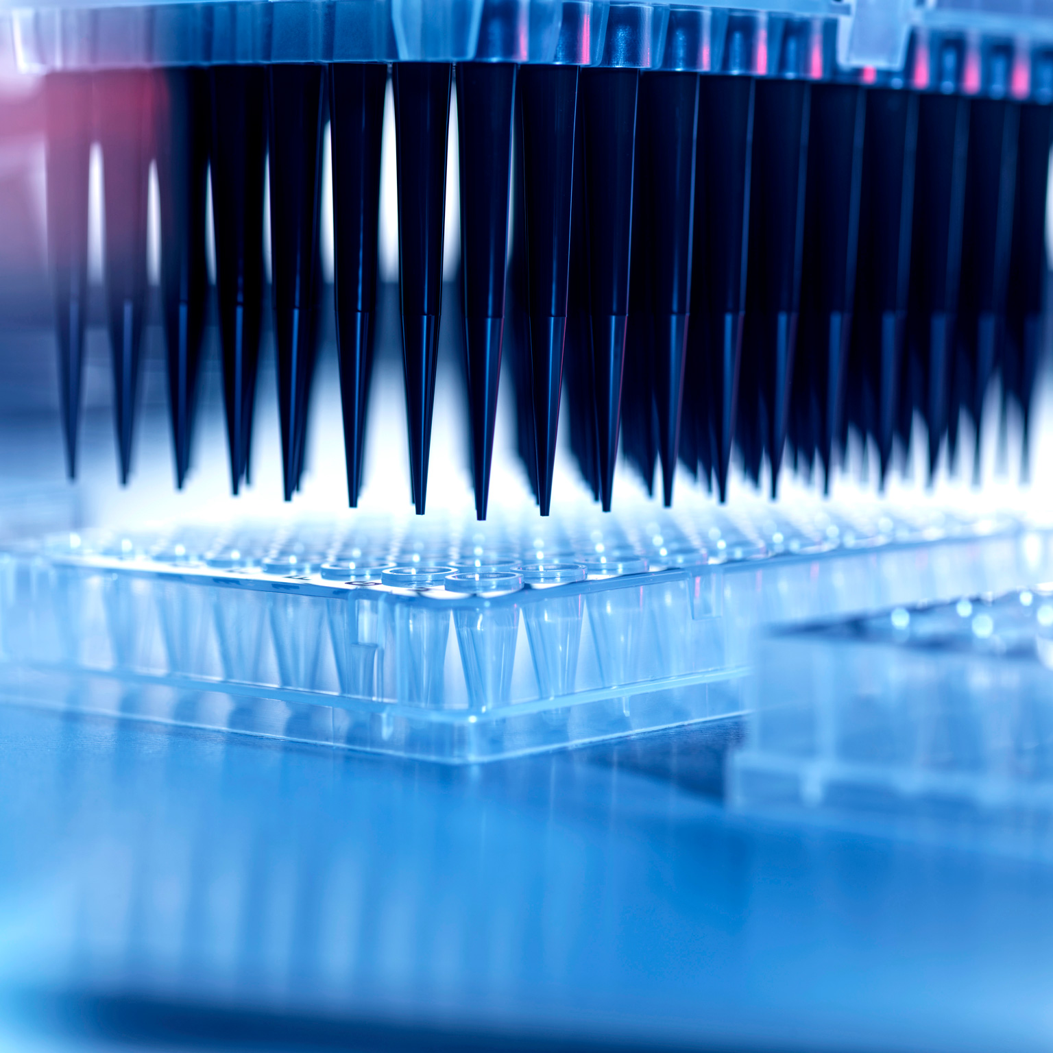 Laboratory testing equipment