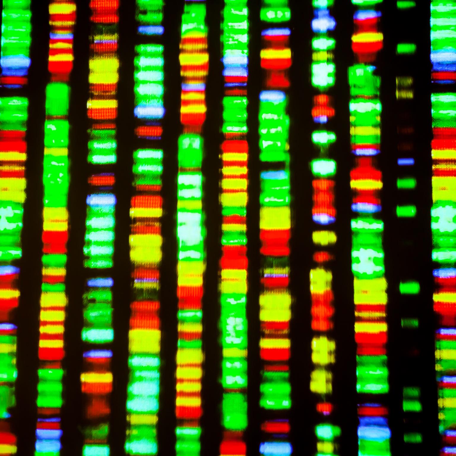 Insights-Realizing-the-potential-1536x1536-0_Standard