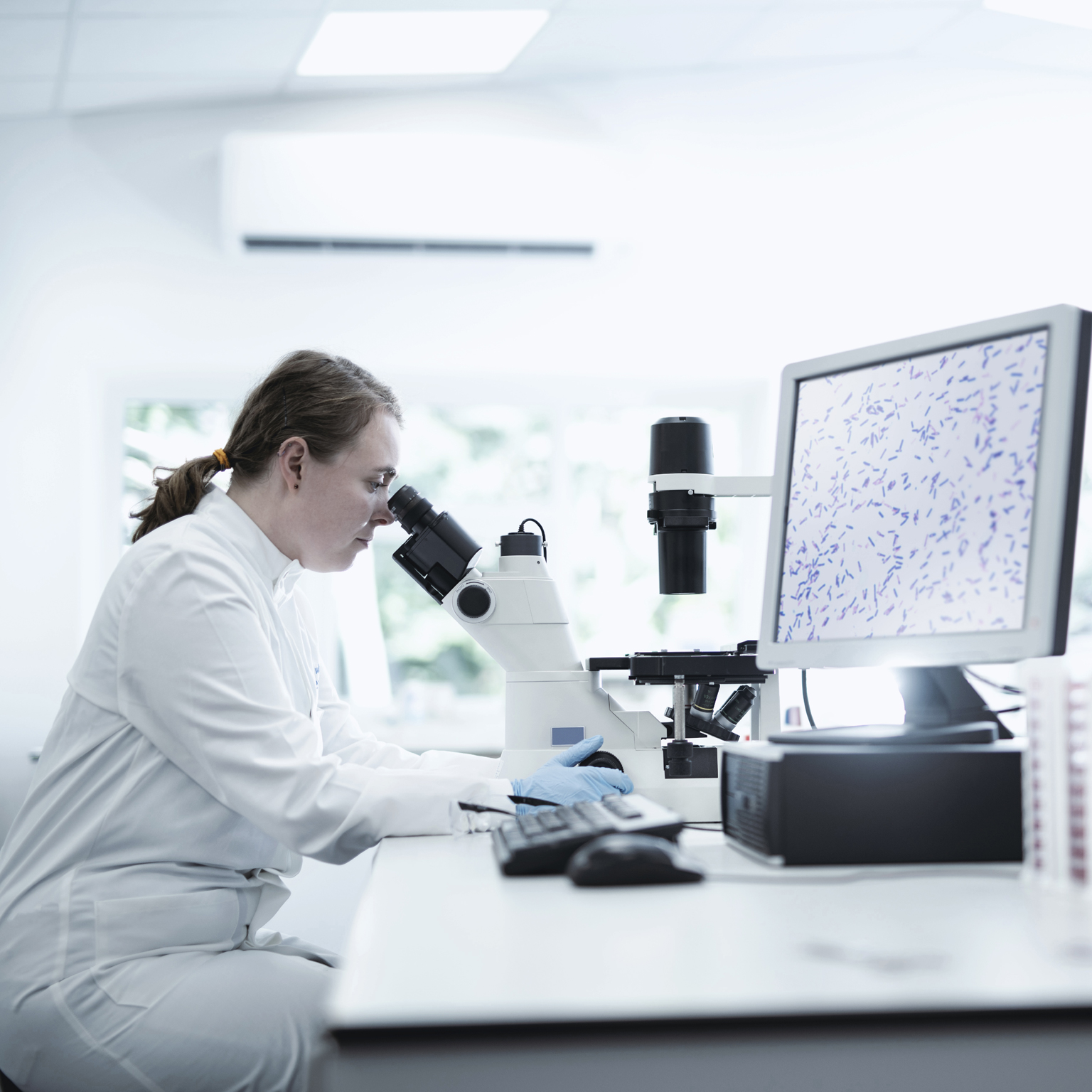 Recalculating the future of drug development with quantum computing