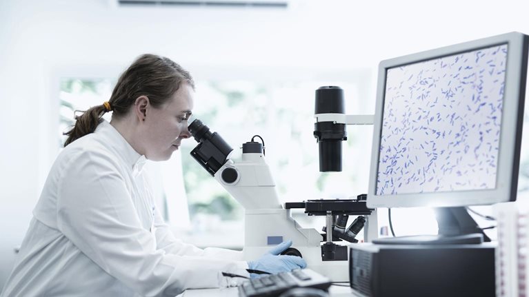 Recalculating the future of drug development with quantum computing