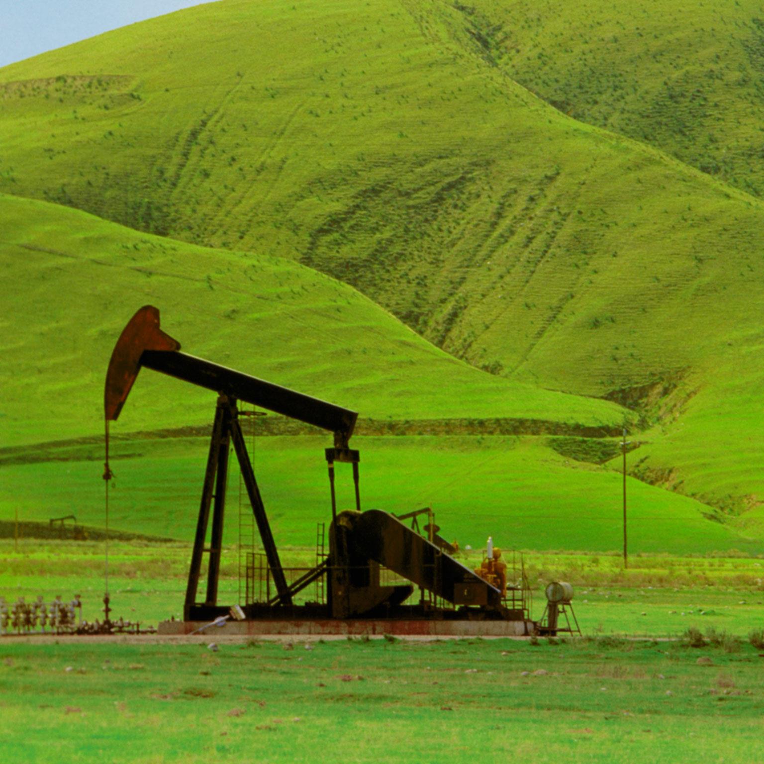 JPG-O-G-Is-growth-taking-root-500_Standard