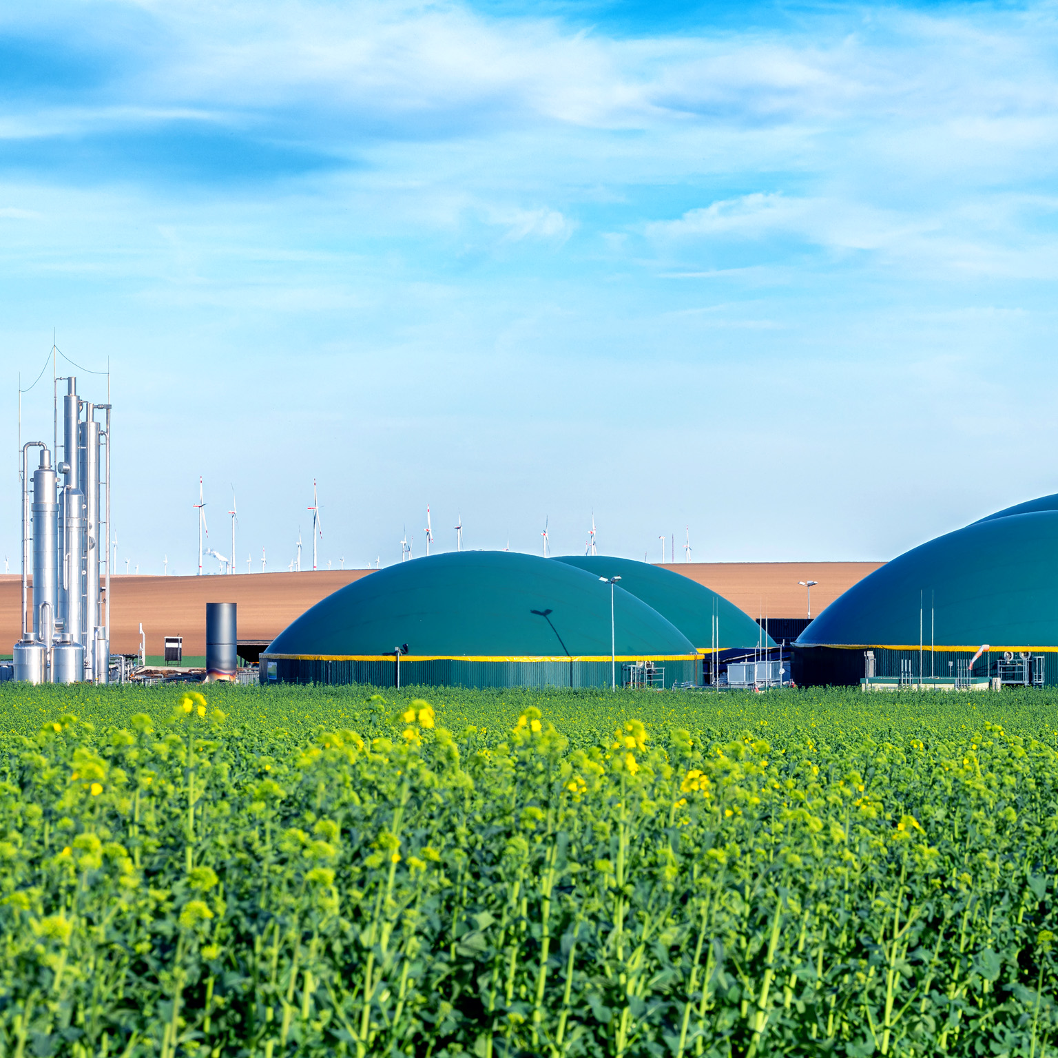 Large green domed Biogas tanks and industrial structures sit in a rural landscape. In the foreground, a vibrant field of yellow rapeseed flowers stretches out, with wind turbines visible in the distance under a partly cloudy sky.
