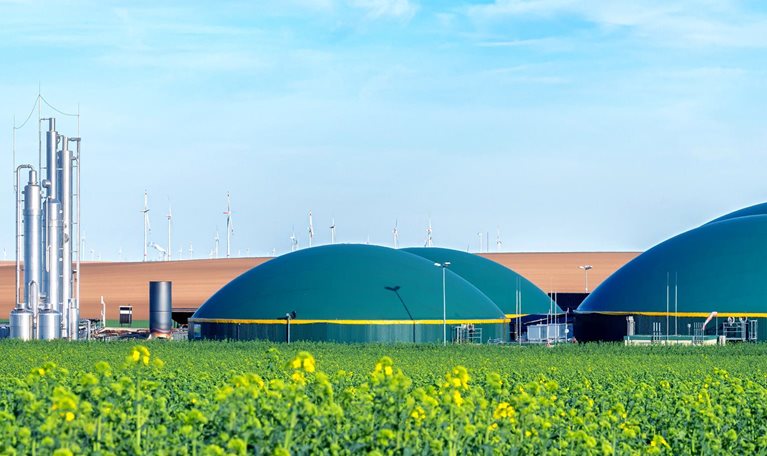 Large green domed Biogas tanks and industrial structures sit in a rural landscape. In the foreground, a vibrant field of yellow rapeseed flowers stretches out, with wind turbines visible in the distance under a partly cloudy sky.