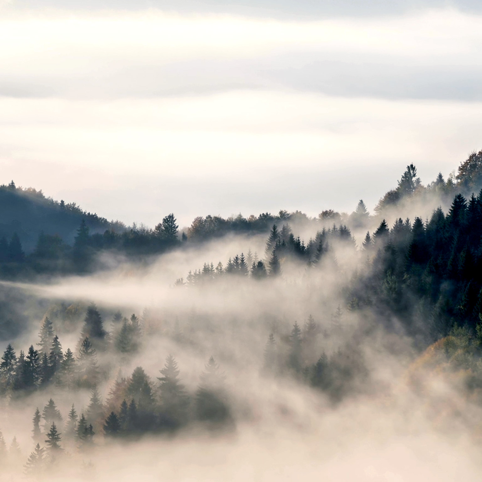 A time-lapse video captures rolling fog clouds above forested hills as morning light shines through.