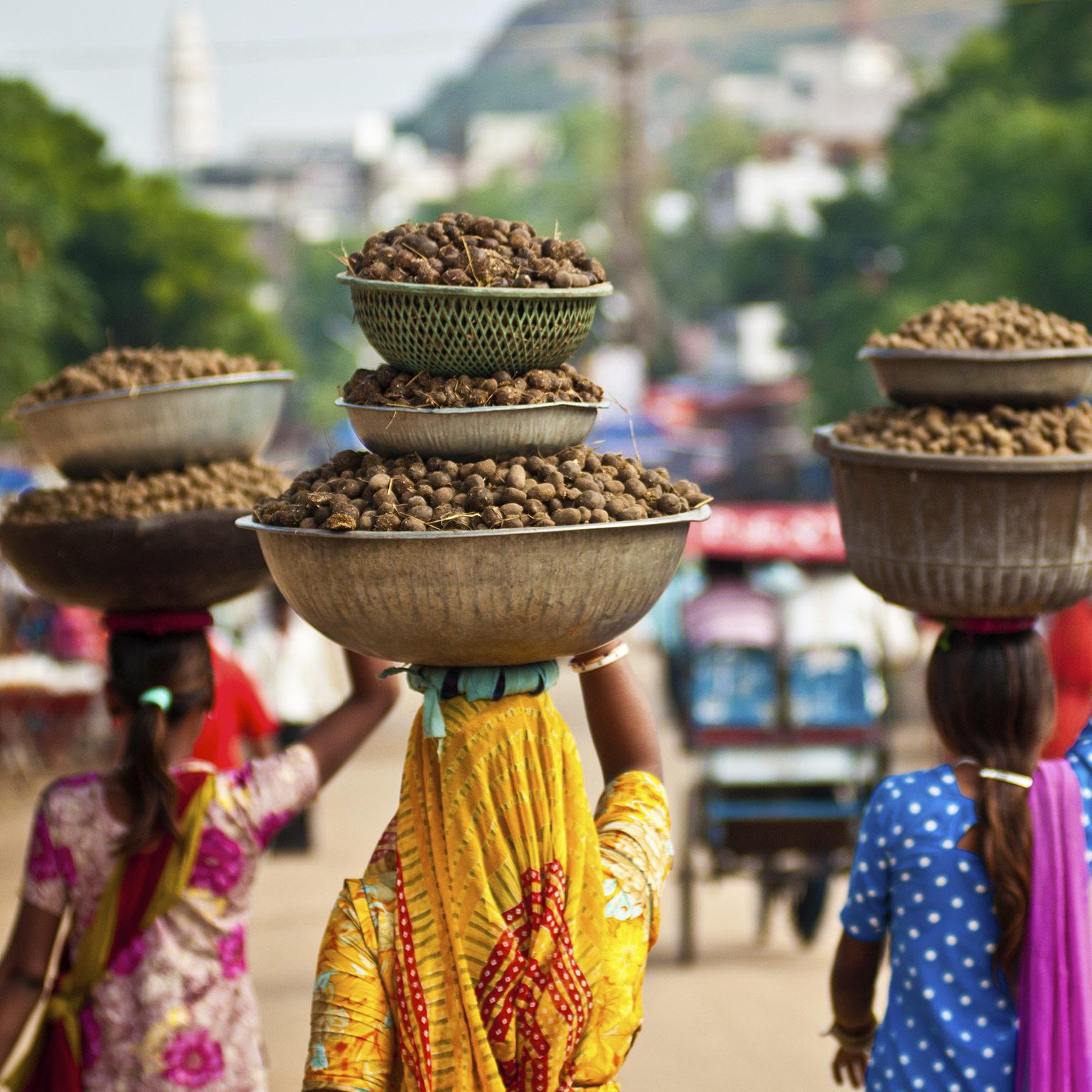 MoVest_PE_India_1536x1536_Original