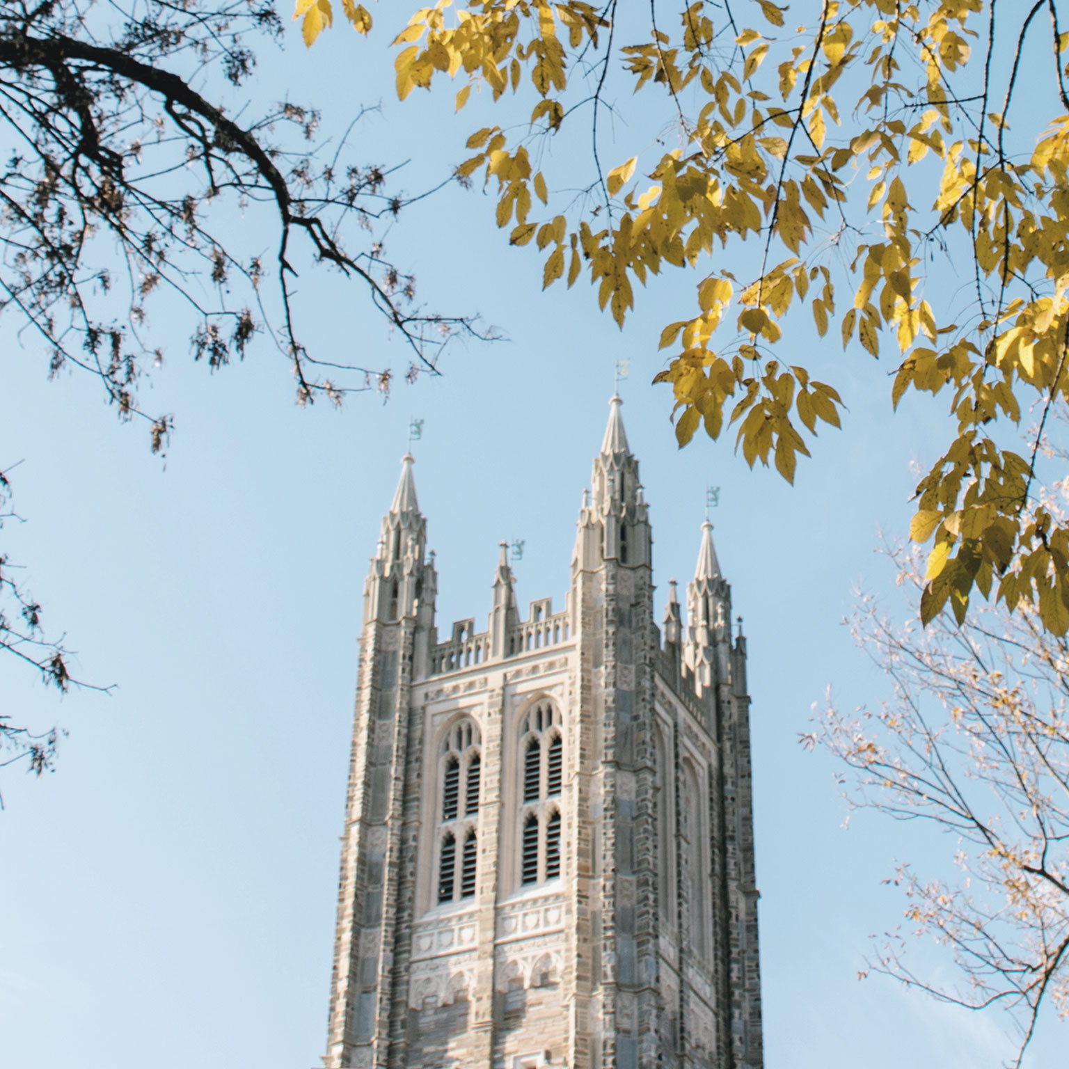 Coronavirus: How should US higher education plan for an uncertain future?