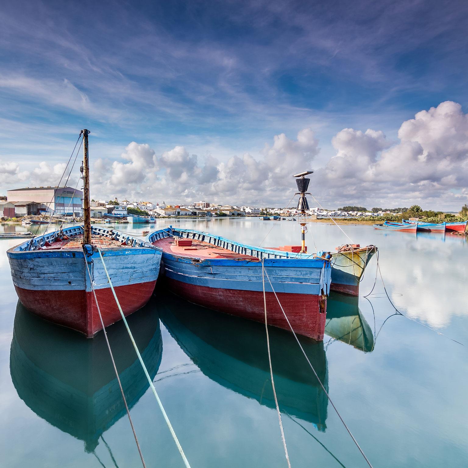 Saving our resources A design for sustainable fisheries_400_Standard