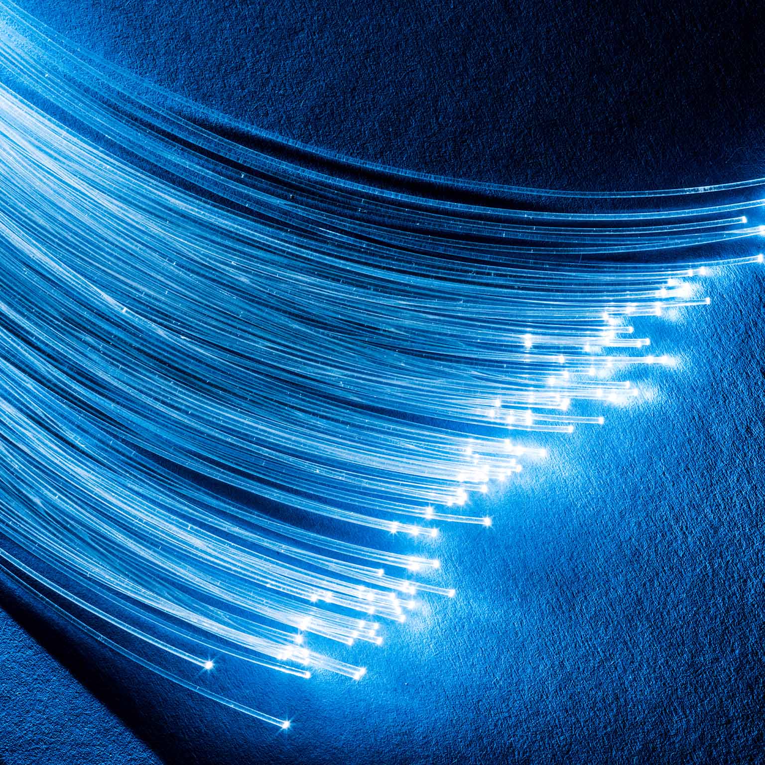 Bundle of optical fibers with lights in the ends.