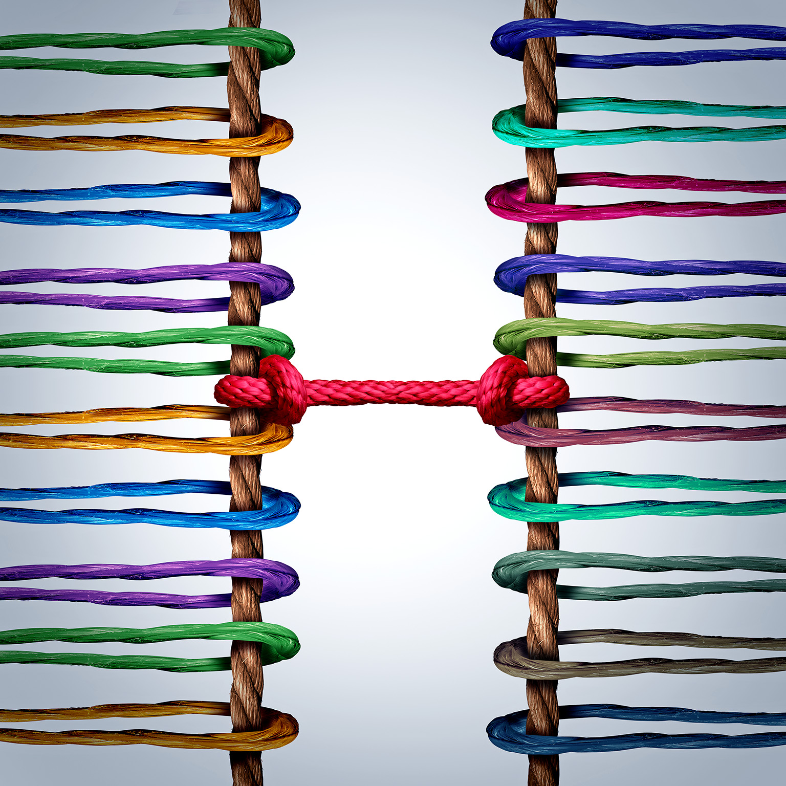 Image of two groups of ropes linked and tied together by a central rope as symbolizing connection and mediation between groups.