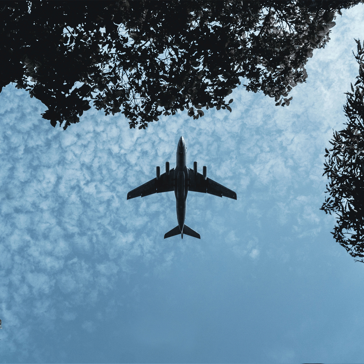 From farm to sky: Feedstocks fuel India’s path to cleaner skies