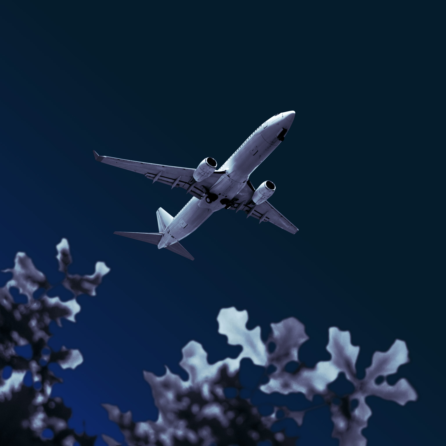 How airlines can chart a path to zero-carbon flying