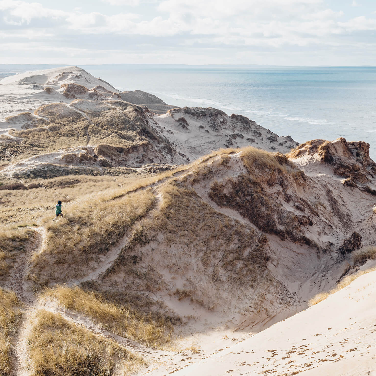 Denmark, North Jutland, steepcoast at lighthouse Rubjerg Knude - stock photo